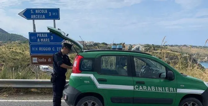 Buttava scarti di macelleria nella vegetazione: una denuncia a Praia