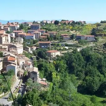 Carolei, sessanta nuovi alberi ogni anno: l’impegno dei volontari