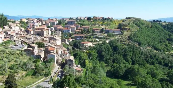 Carolei, sessanta nuovi alberi ogni anno: l’impegno dei volontari