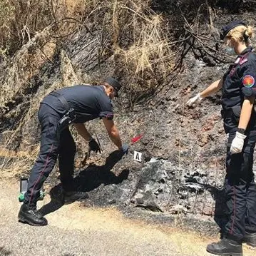 Incendio distrusse un bosco a Lattarico, denunciati due giovani
