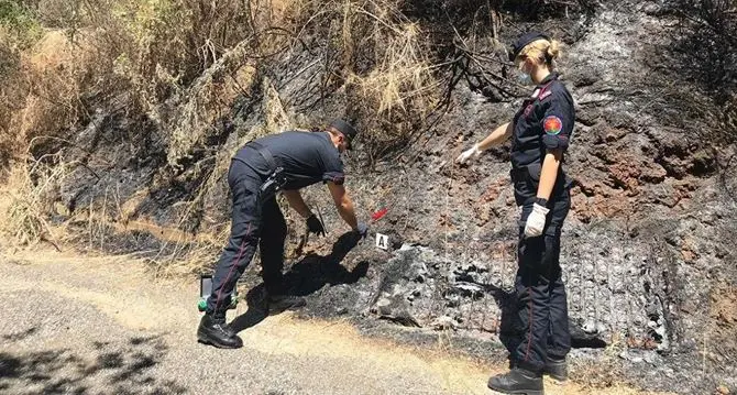 Incendio distrusse un bosco a Lattarico, denunciati due giovani