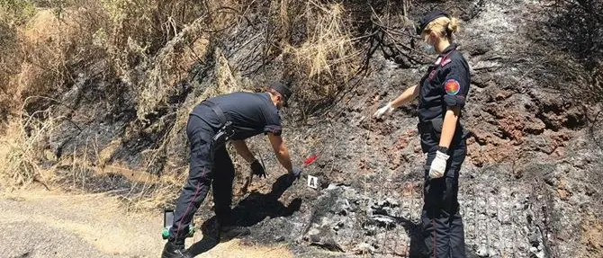 Incendio distrusse un bosco a Lattarico, denunciati due giovani