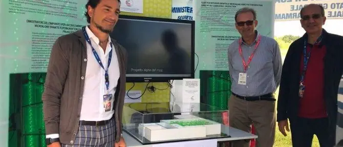 Alghe come biocarburante: la ricerca Unical al Gran premio di Monza