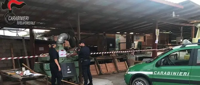 Sequestrata segheria abusiva nel Cosentino, denunciato il proprietario