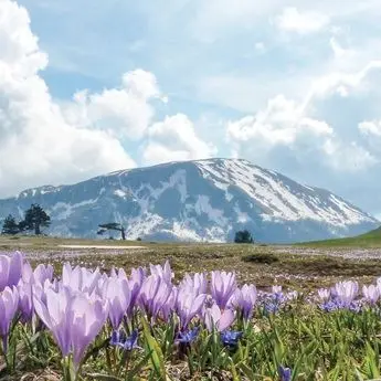 «Un angolo di paradiso», alla scoperta del Pollino con la guida di Repubblica