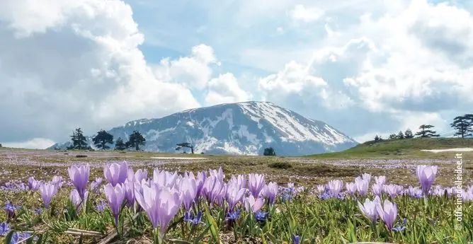 «Un angolo di paradiso», alla scoperta del Pollino con la guida di Repubblica