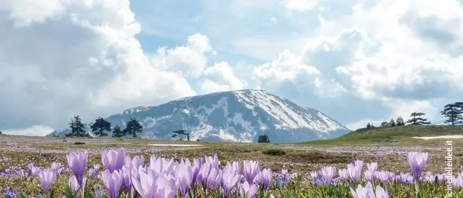 «Un angolo di paradiso», alla scoperta del Pollino con la guida di Repubblica