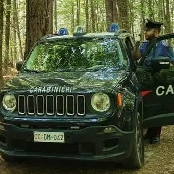 Troppi dispersi a caccia di funghi in Calabria: ecco il decalogo dei carabinieri