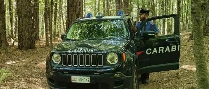 Troppi dispersi a caccia di funghi in Calabria: ecco il decalogo dei carabinieri