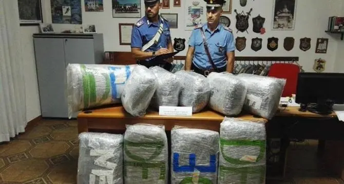 Sul furgone con 55 chili di marijuana, arrestato 47enne a Villapiana