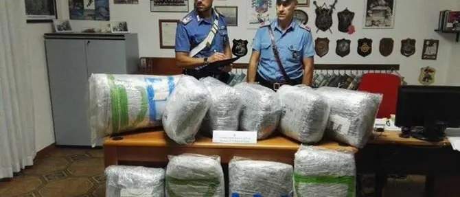 Sul furgone con 55 chili di marijuana, arrestato 47enne a Villapiana