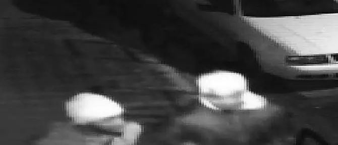 Picchiarono e derubarono un uomo per strada, due arresti a Reggio