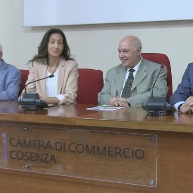 Un ponte virtuale tra l'Australia e la Calabria: ecco l'iniziativa