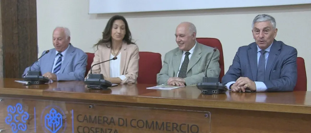 Un ponte virtuale tra l'Australia e la Calabria: ecco l'iniziativa