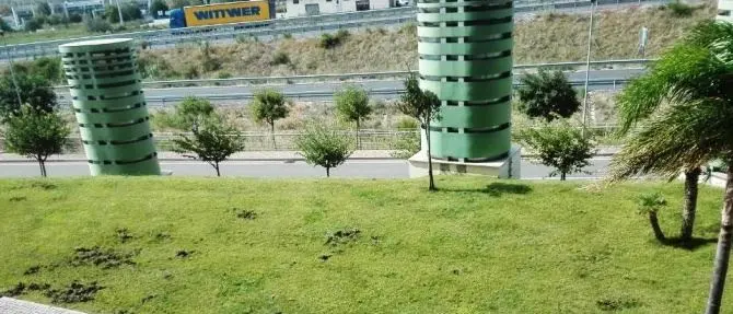 Cinghiali in visita alla Cittadella: «Ancora dubbi sulla loro presenza invasiva?»