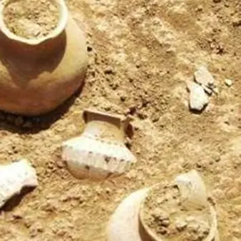 Tombaroli in azione a Crotone, arrestati e denunciati