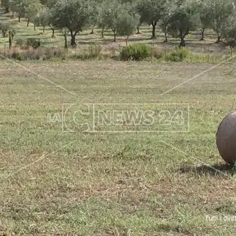 Caos carburante: 3mila aziende agricole calabresi rischiano la crisi