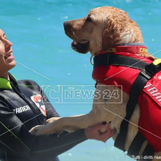 Dopo un'estate intensa i cani bagnini tornano sui campi di addestramento