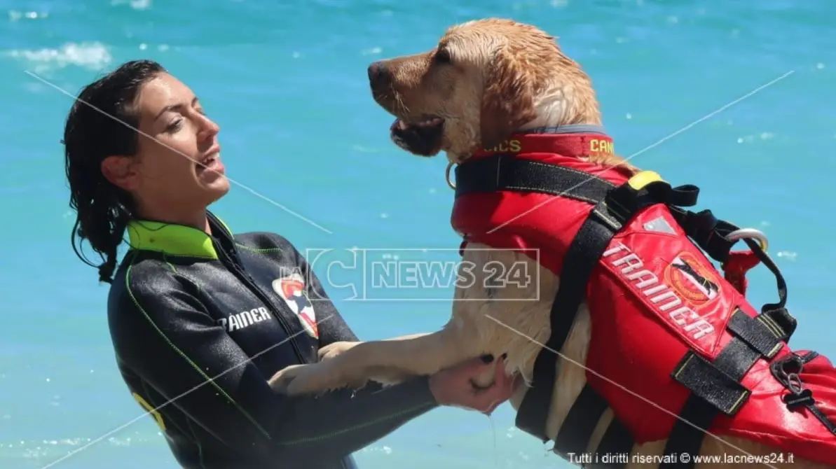 Dopo un'estate intensa i cani bagnini tornano sui campi di addestramento