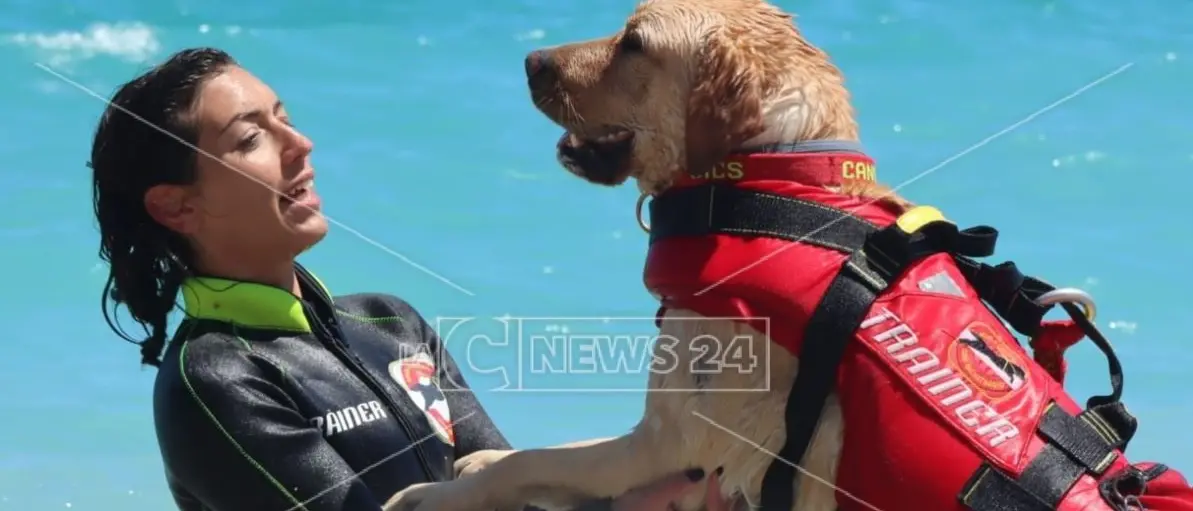Dopo un'estate intensa i cani bagnini tornano sui campi di addestramento