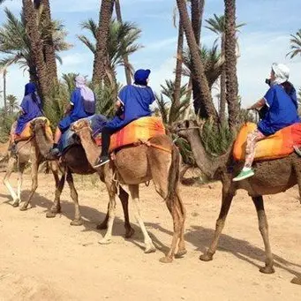 Corap, 100mila euro per la sede in Marocco. Guccione: «Oliverio tenta il colpo di spugna»