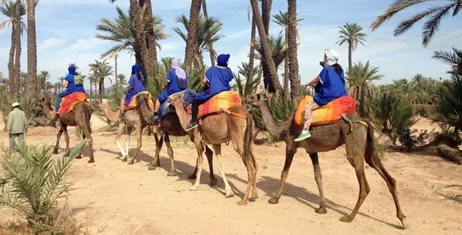 Corap, 100mila euro per la sede in Marocco. Guccione: «Oliverio tenta il colpo di spugna»