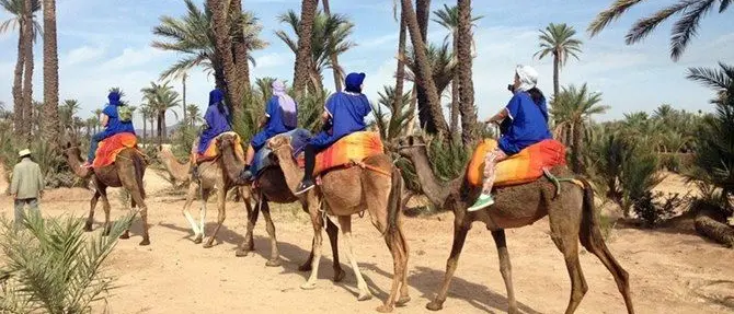 Corap, 100mila euro per la sede in Marocco. Guccione: «Oliverio tenta il colpo di spugna»