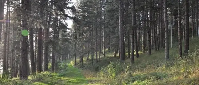 Si allontana da casa e si smarrisce, 89enne ritrovata nel Cosentino