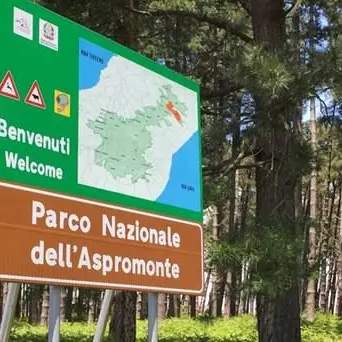 Alla scoperta dell'Aspromonte con gli Incontri di natura