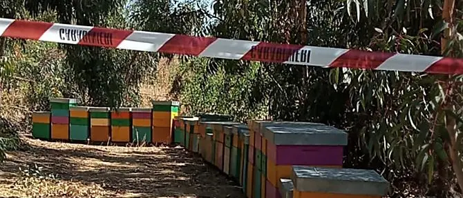 Sequestrate 33 arnie non registrate a Cutro, denunciato apicoltore
