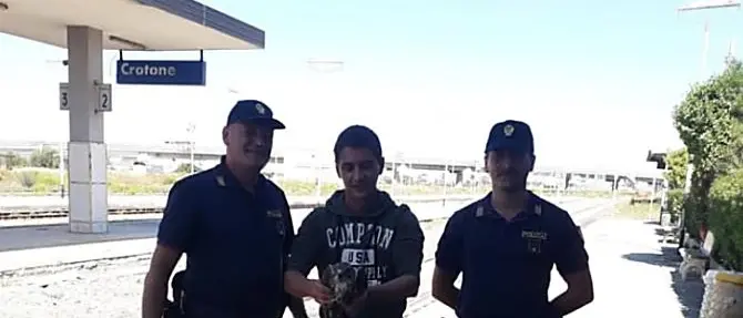 Crotone, poiana ferita rischia di essere travolta da un treno: salvata