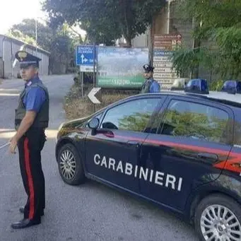 Fuggono all'alt e minacciano i carabinieri, due arresti nel Reggino