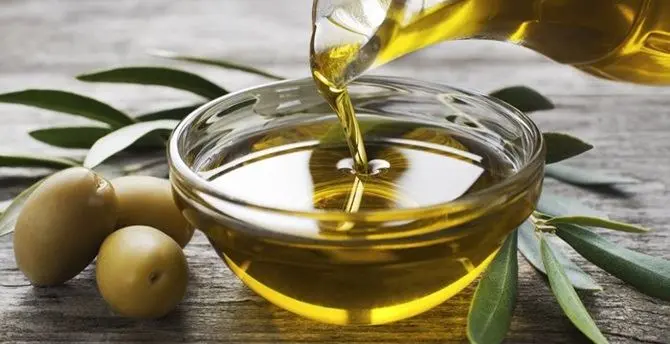 Olio, vola la produzione in Italia. Calabria al secondo posto, crolla il Nord