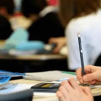Emergenza scuola: «Al Sud un esercito di diplomati analfabeti»