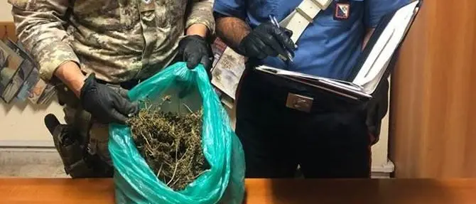 Droga e furto di energia elettrica, due arresti nel Reggino