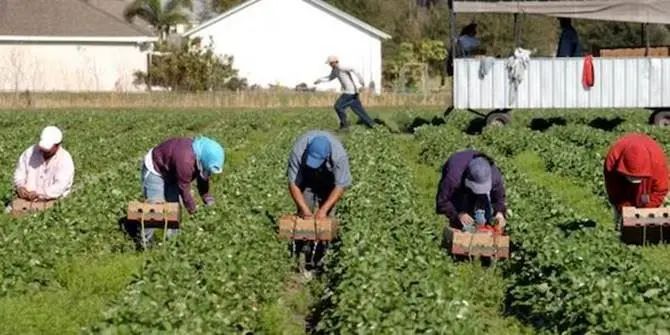 Sparava ai braccianti per farli lavorare di più, arrestato imprenditore agricolo