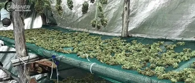 Rastrellamenti in Aspromonte, scovati armi e droga a Roccaforte del Greco