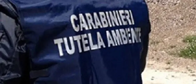 Gestione illecita dei rifiuti: sequestri in due impianti a Lamezia