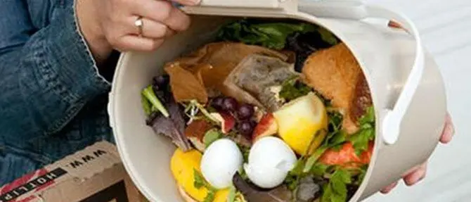 Coldiretti: «In Calabria cibo per 125 mln di euro buttato nella spazzatura»