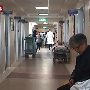Ospedale di Catanzaro: «Mai così in basso». Ricoveri in barella e Ginecologia al collasso