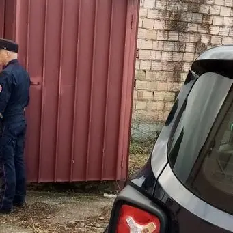 Indagano per incendio ma scoprono 41 cardellini detenuti illegalmente