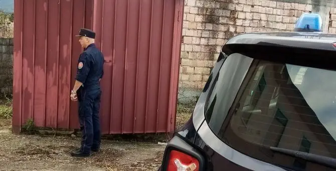 Indagano per incendio ma scoprono 41 cardellini detenuti illegalmente