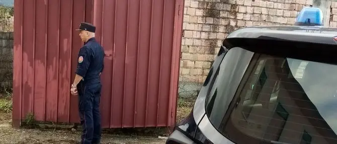Indagano per incendio ma scoprono 41 cardellini detenuti illegalmente