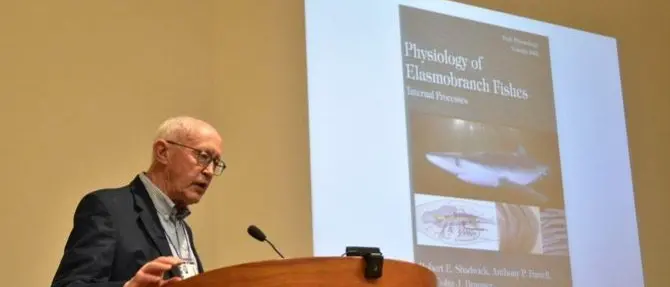 Esperti di tutto il mondo all'Unical per parlare di squali