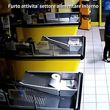 Furti e ricettazione: 19 arresti tra Cosenza, Catanzaro e Vibo Valentia