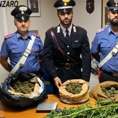 Marijuana in sacchi di juta, arrestati padre e figlio nel Catanzarese