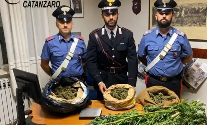 Marijuana in sacchi di juta, arrestati padre e figlio nel Catanzarese