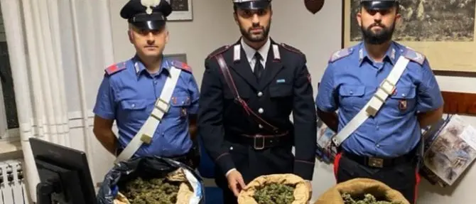Marijuana in sacchi di juta, arrestati padre e figlio nel Catanzarese