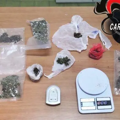 Nascondeva nell'armadio mezzo chilo di marijuana, arrestato un 37enne