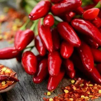 Il peperoncino calabrese impara il cinese: accordo per festival mondiale